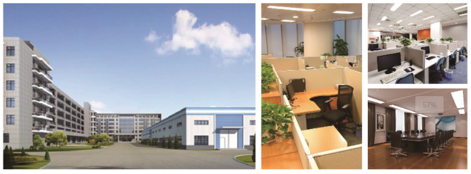 小蝌蚪看片网集團